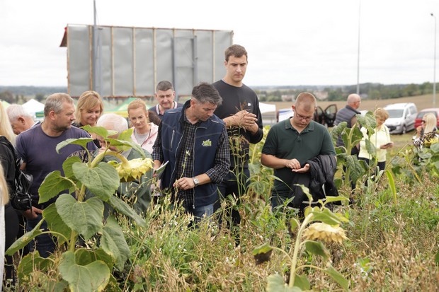 Uczestnicy spotkania słuchają przedstawiciela firmy prezentującego mieszanki poplonowe znajdujące sie na poletkach