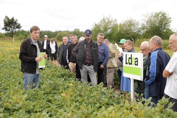 Uczestnicy spotkania słuchają przedstawiciela firmy  prezentującego odmiany soi w doświadczeniu