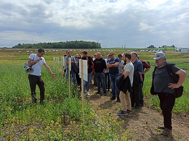 Grupa uczestników spotkania słucha przedstawiciela, wokół poletka z międzyplonami